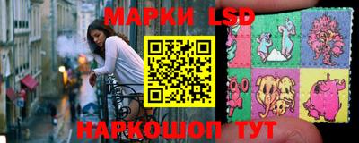 spice Брянск
