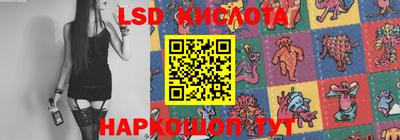 spice Брянск