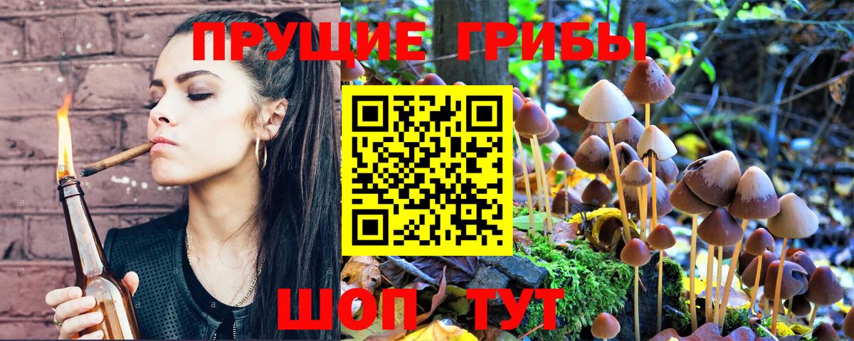 Ижевск  Галлюциногенные грибы MAGIC MUSHROOMS  Вход с VPN 